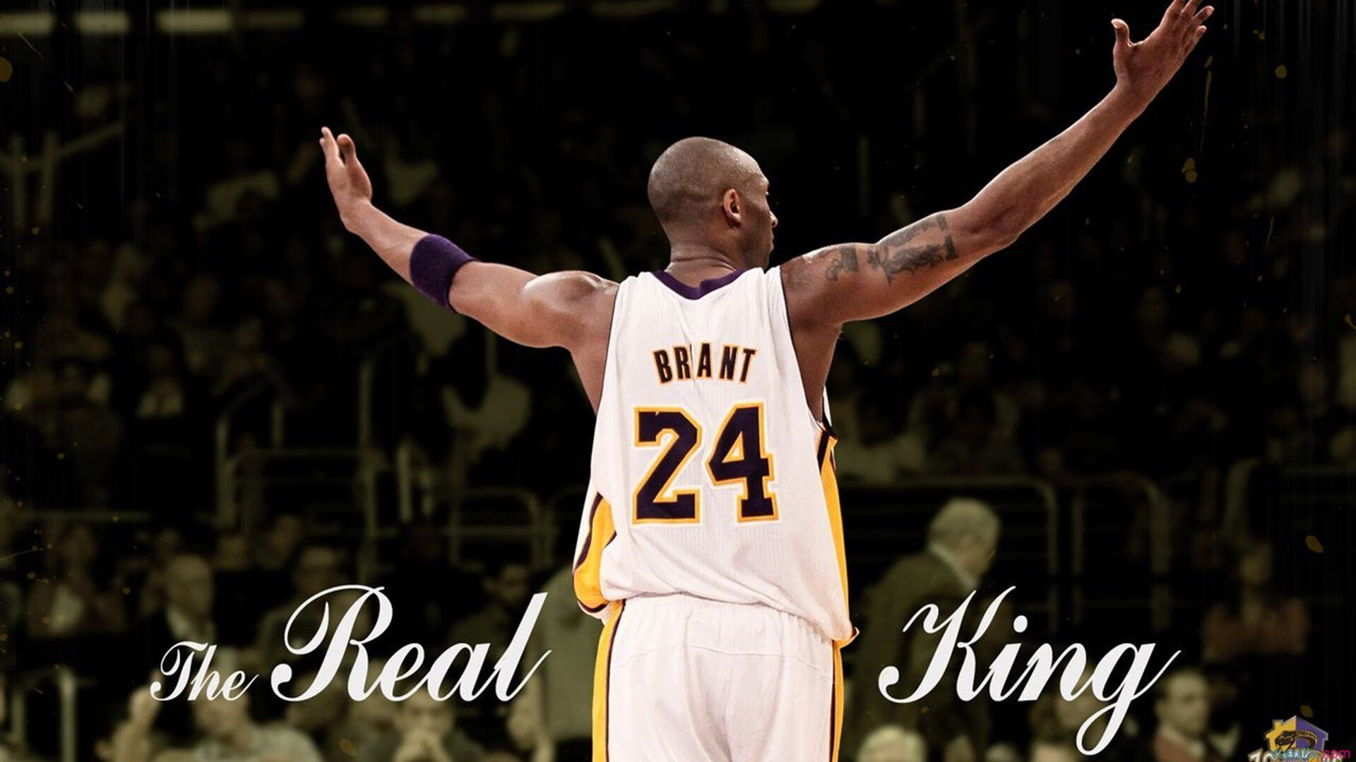 开云体育官网下载安装-拼搏让每一次比赛更具意义，拼搏让每一次比赛更具意义英语